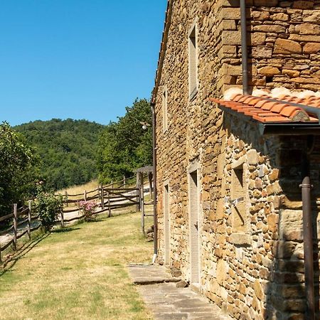Agriturismo Con Piscina In Toscana, Tribbiano Arezzo Eksteriør billede