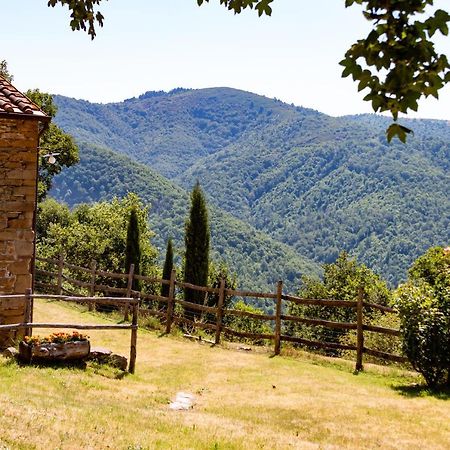 Agriturismo Con Piscina In Toscana, Tribbiano Arezzo Eksteriør billede
