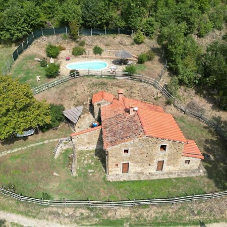 Agriturismo Con Piscina In Toscana, Tribbiano Arezzo Eksteriør billede