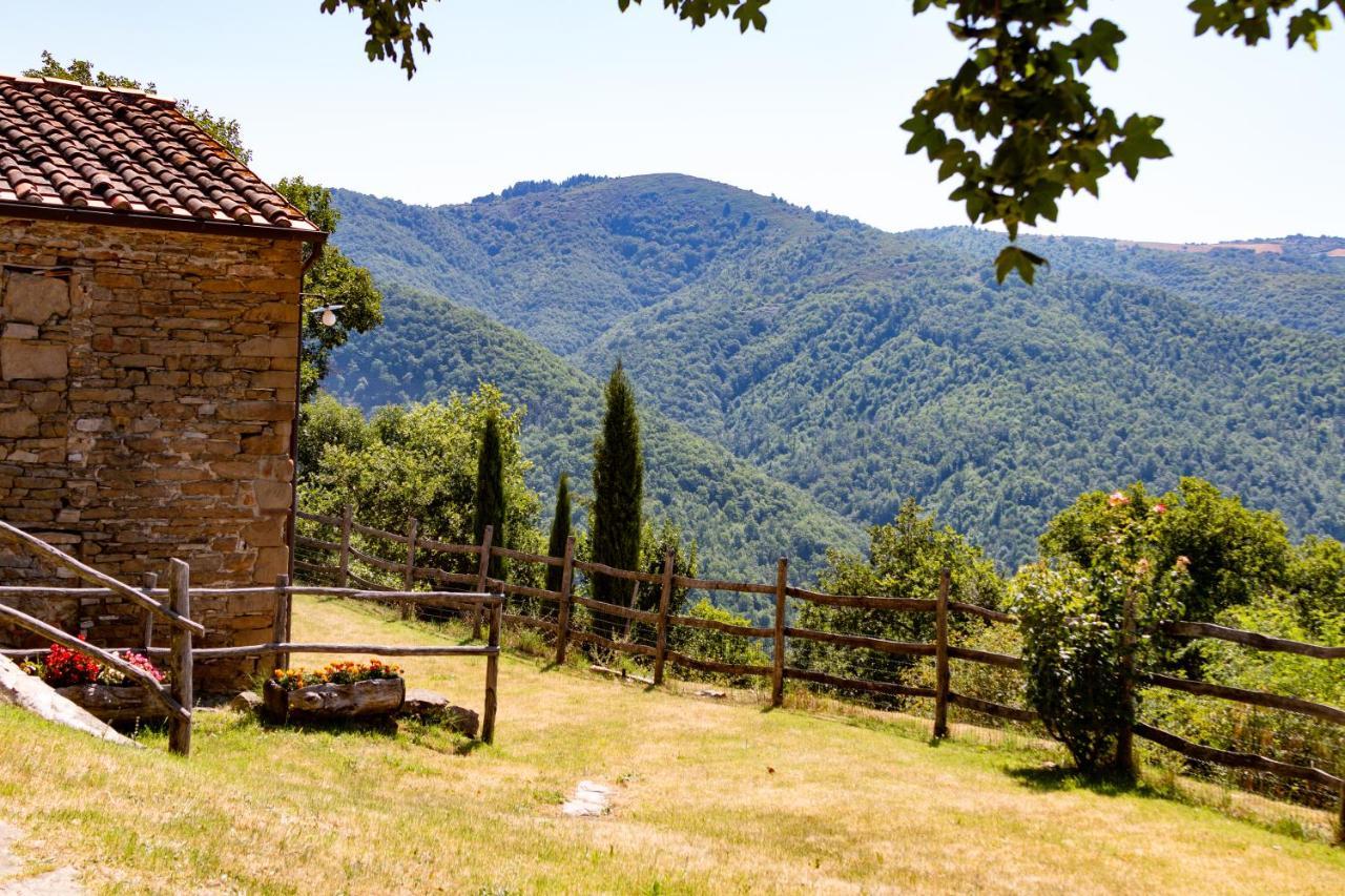 Agriturismo Con Piscina In Toscana, Tribbiano Arezzo Eksteriør billede