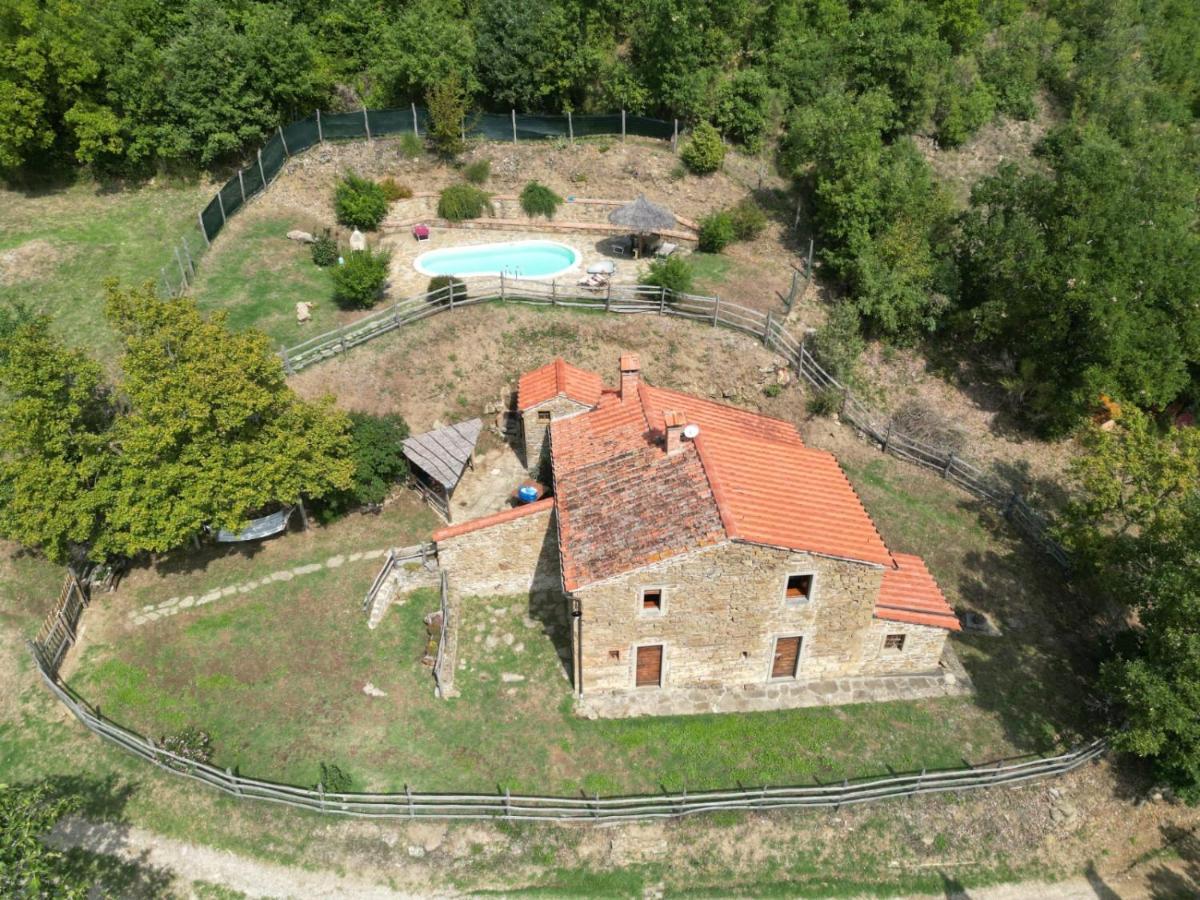 Agriturismo Con Piscina In Toscana, Tribbiano Arezzo Eksteriør billede