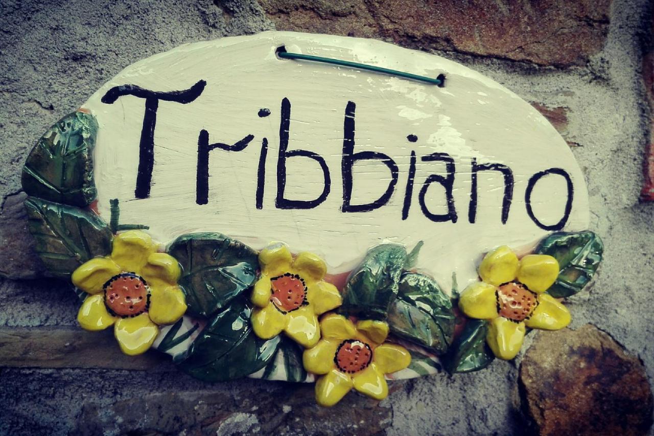 Agriturismo Con Piscina In Toscana, Tribbiano Arezzo Eksteriør billede